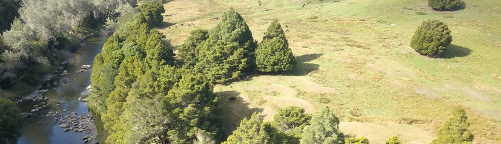 The Guardians of the Ruakituri 